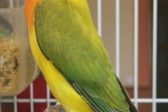 10-