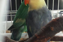 8-