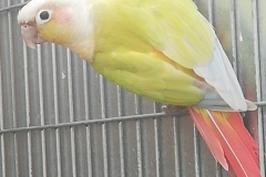 9-