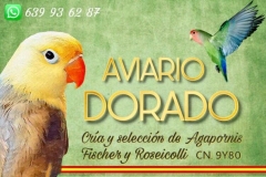 Nuestros criadores
